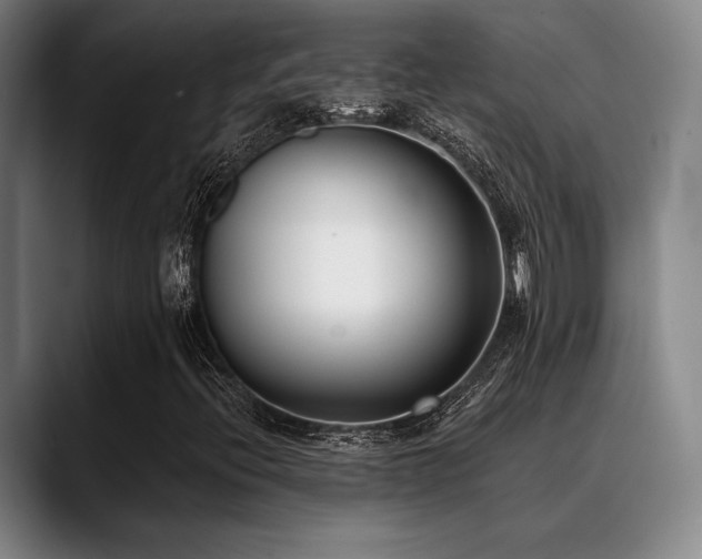 X0000089441396200706151405