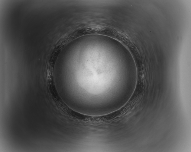 X0000089441397200706151405