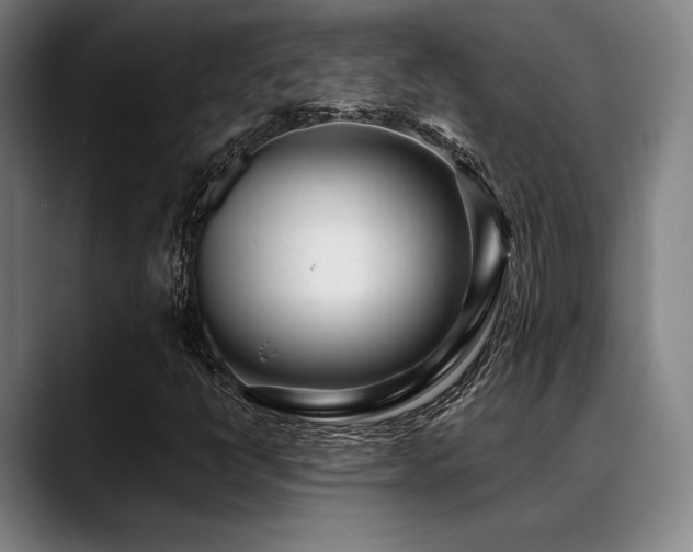 X0000089441398200706151405