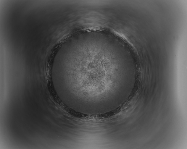 X0000089441399200706151405