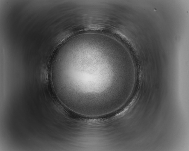 X0000089441401200706151405