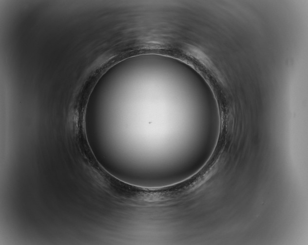 X0000089441402200706151405