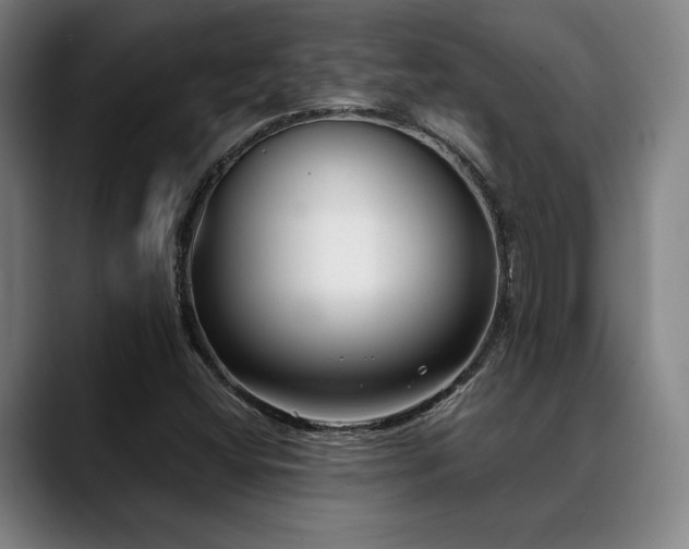 X0000089441404200706151405
