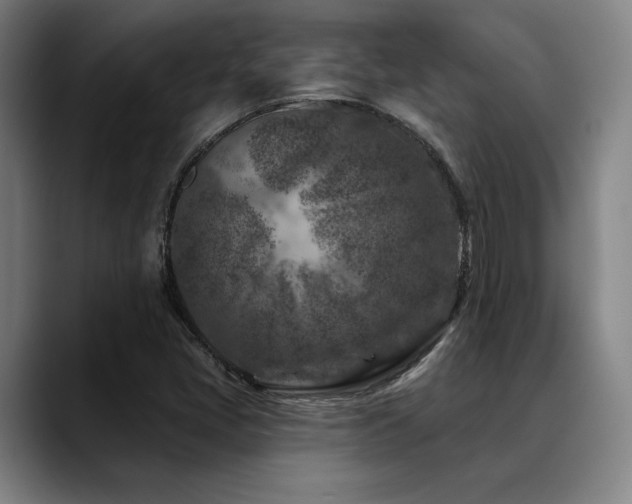 X0000089441405200706151405