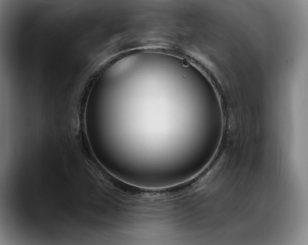 X0000089441407200706151405