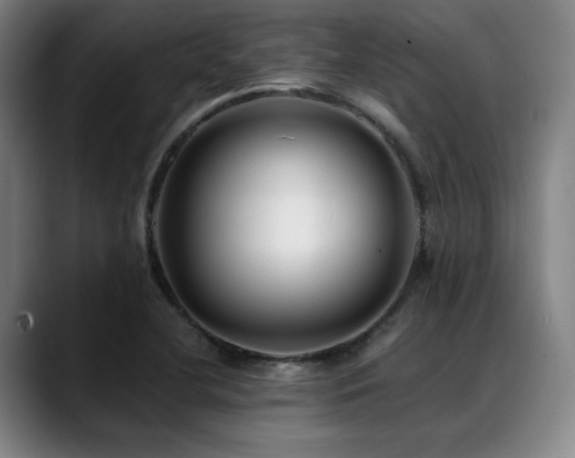X0000089441412200706151405