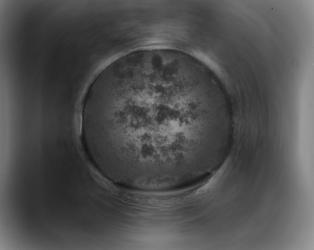 X0000089441413200706151405