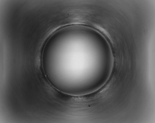 X0000089441415200706151405