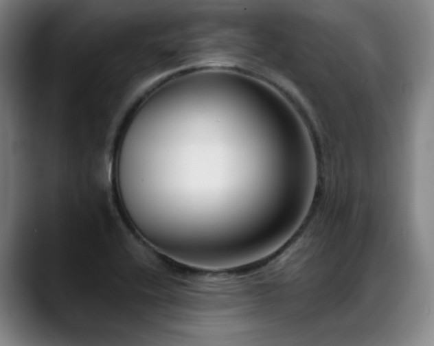 X0000089441416200706151405