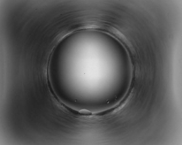 X0000089441417200706151405