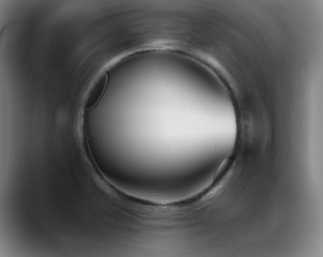 X0000089441421200706151405