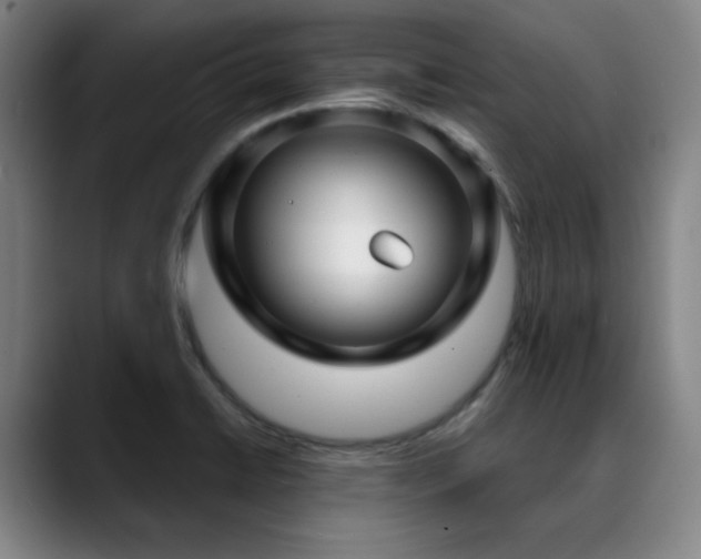 X0000089441422200706151405