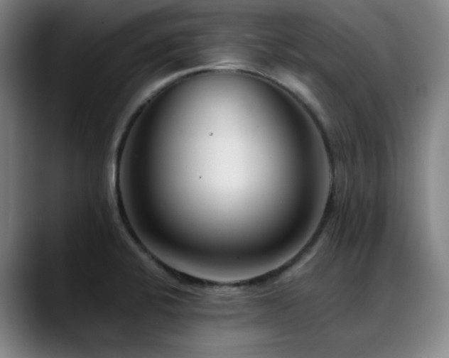 X0000089441424200706151405