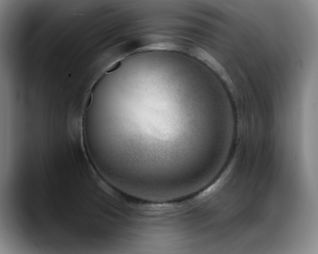 X0000089441425200706151405