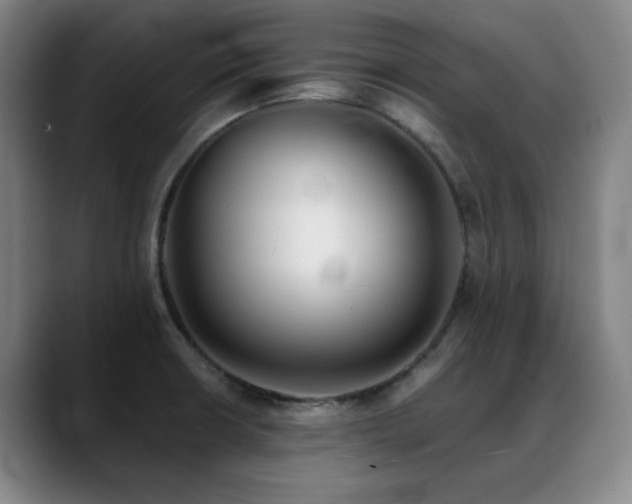 X0000089441426200706151405