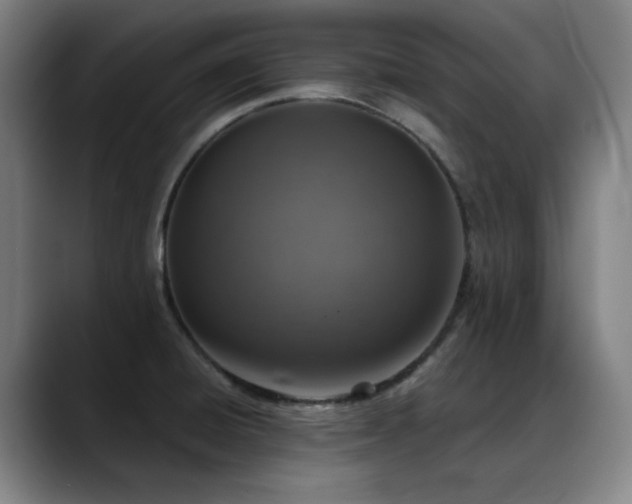 X0000089441428200706151405