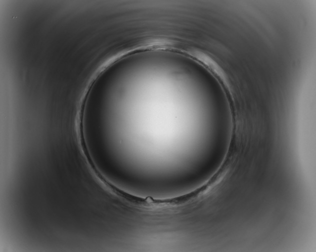 X0000089441429200706151405