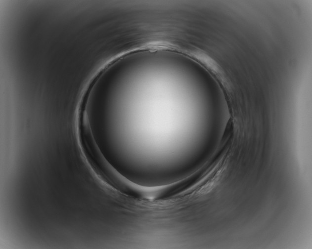 X0000089441430200706151405