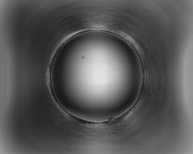 X0000089441432200706151405