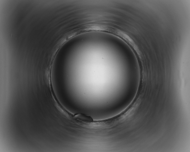X0000089441433200706151405