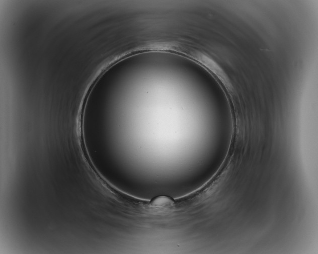 X0000089441436200706151405
