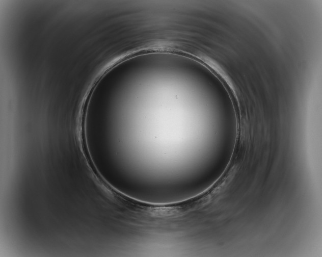 X0000089441437200706151405