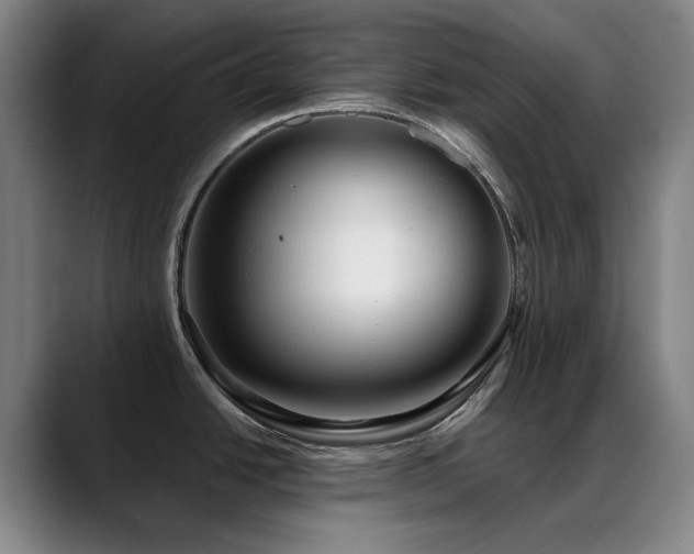 X0000089441438200706151405