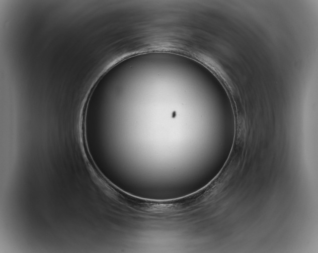 X0000089441439200706151405