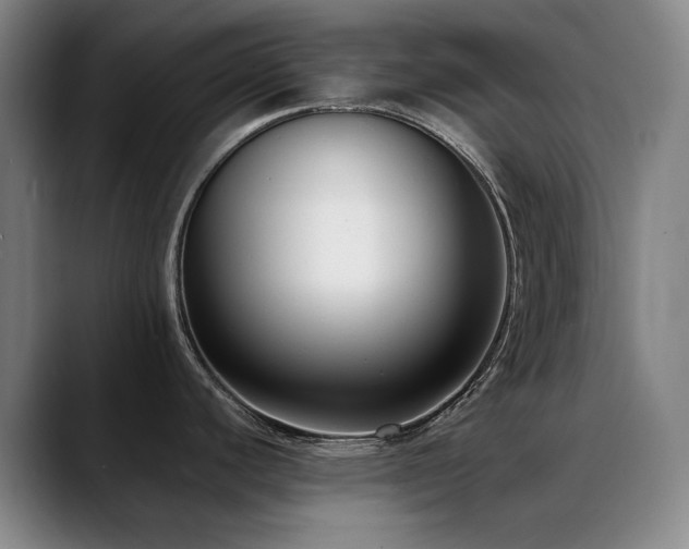 X0000089441440200706151405