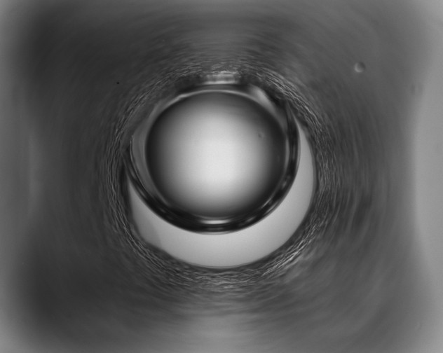 X0000089441441200706151405