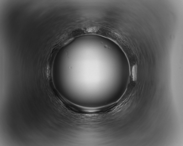 X0000089441443200706151405