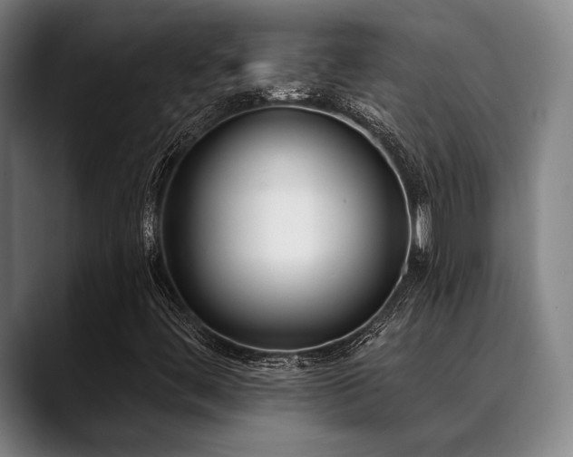 X0000089441444200706151405