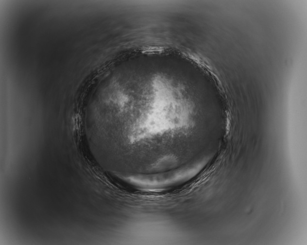 X0000089441445200706151405