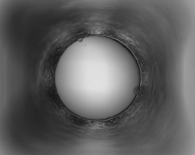 X0000089441446200706151405