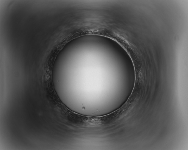 X0000089441447200706151405
