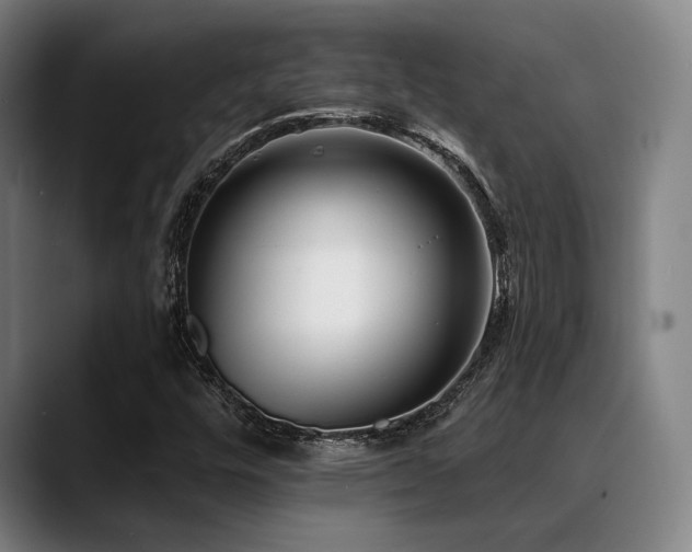 X0000089441448200706151405