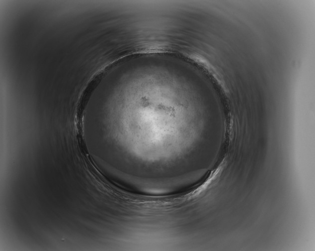 X0000089441449200706151405
