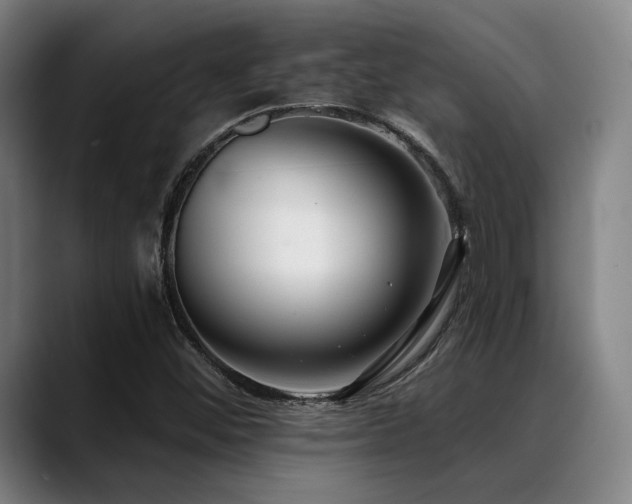 X0000089441452200706151405