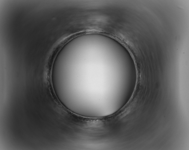 X0000089441454200706151405