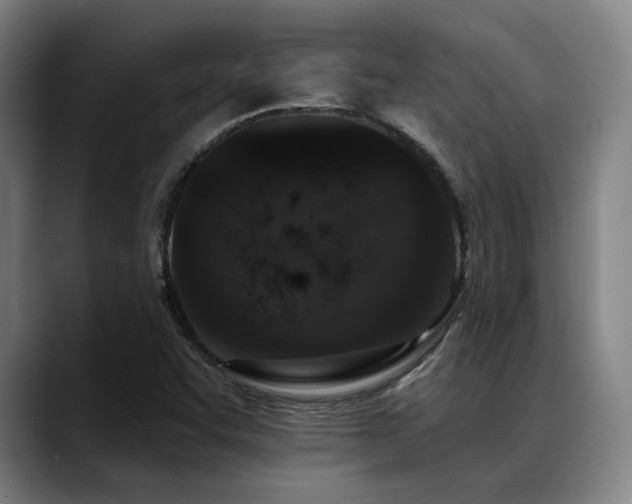 X0000089441455200706151405