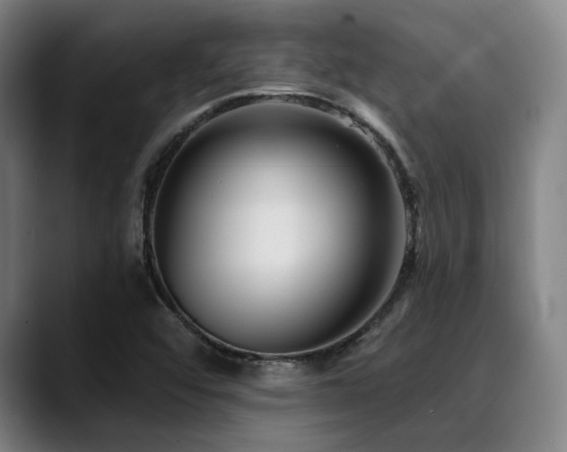 X0000089441456200706151405