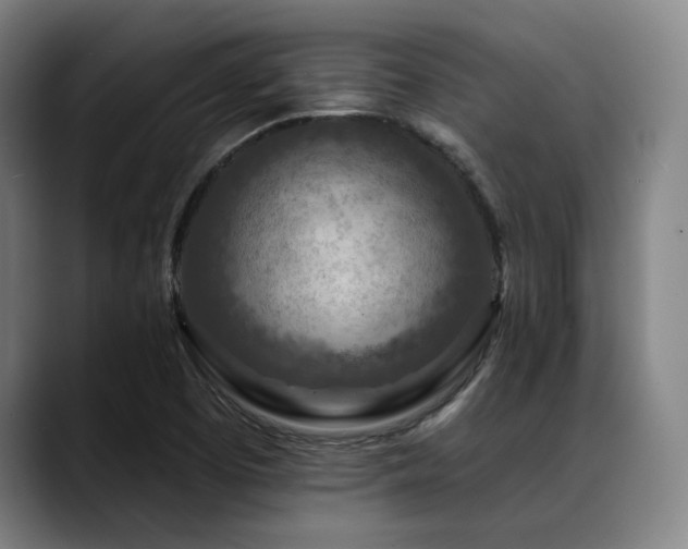 X0000089441457200706151405