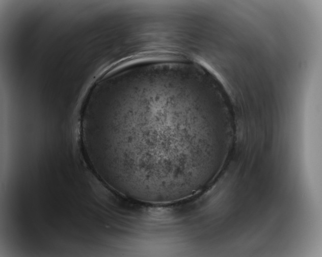 X0000089441459200706151405