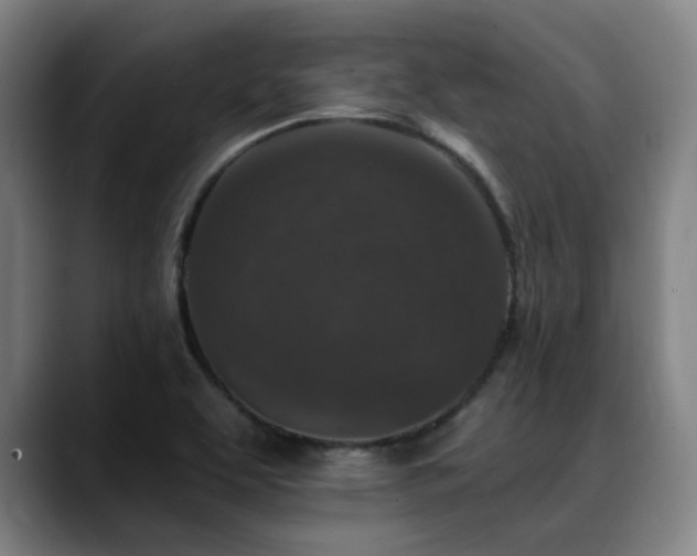 X0000089441463200706151405