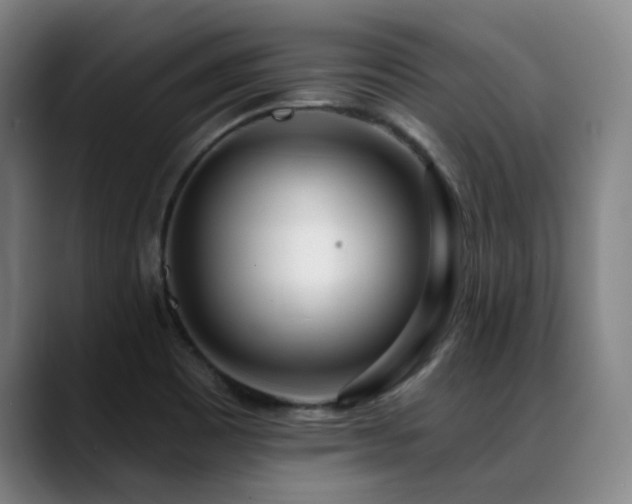 X0000089441465200706151405