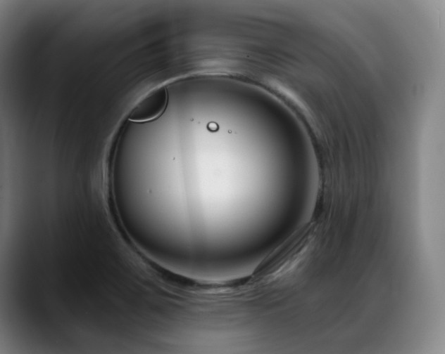 X0000089441467200706151404