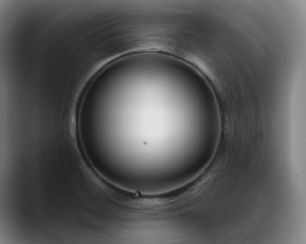 X0000089441468200706151404
