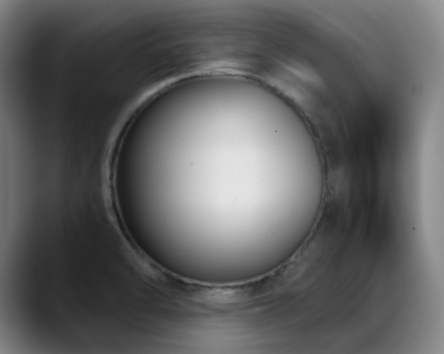 X0000089441470200706151404