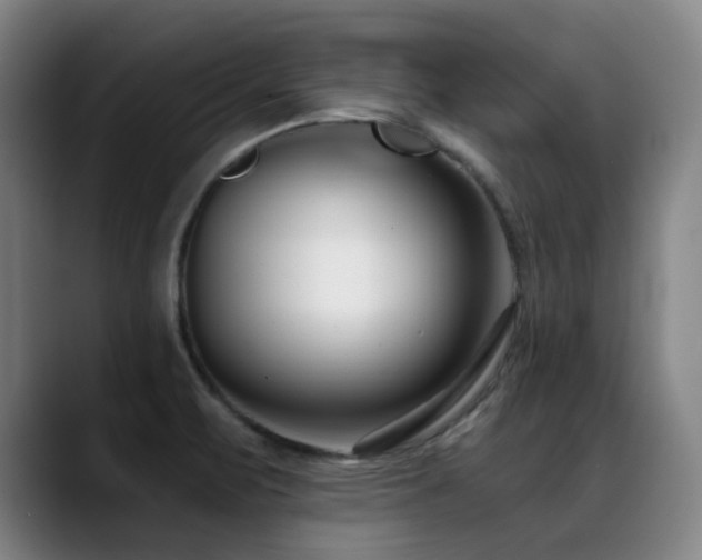 X0000089441471200706151404