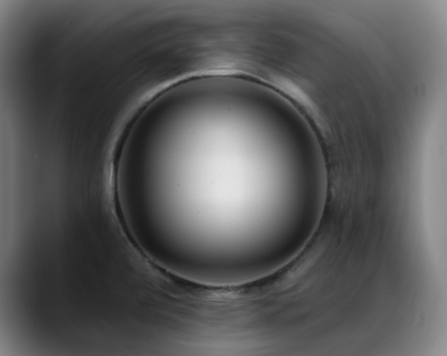 X0000089441472200706151404